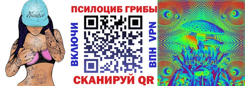 сколько стоит  Безенчук  Псилоцибиновые грибы Magic Shrooms 